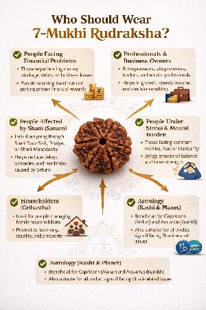 7 Mukhi Rudraksha