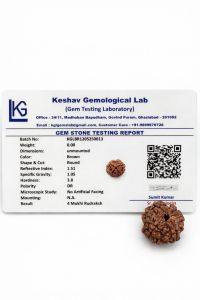 4 Mukhi Rudraksha