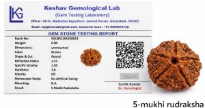 5 Mukhi Rudraksha
