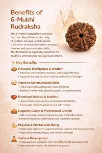 6 Mukhi Rudraksha