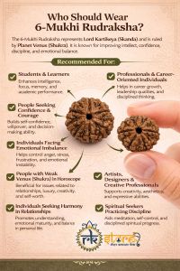 6 Mukhi Rudraksha