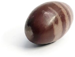 Narmadeshwar Shivling