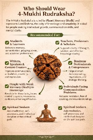 4 Mukhi Rudraksha
