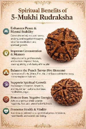 5 Mukhi Rudraksha
