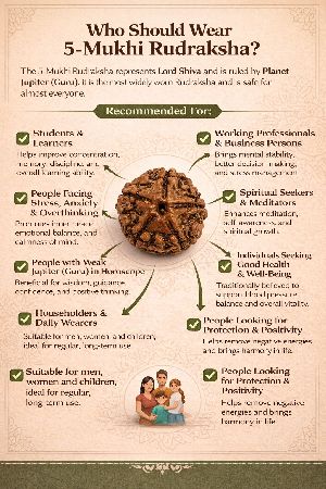 5 Mukhi Rudraksha