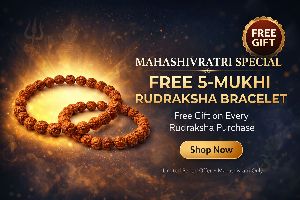 5 Mukhi Rudraksha Bracelet