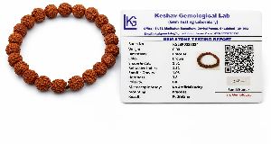 5 Mukhi Rudraksha Bracelet
