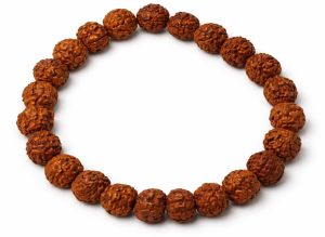 5 Mukhi Rudraksha Bracelet