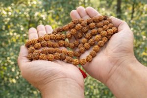 109 Beads Rudraksha Mala