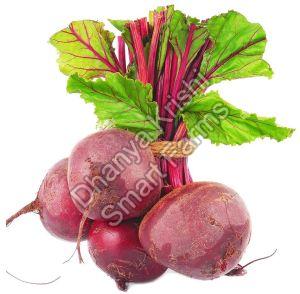 Fresh Organic Beetroot