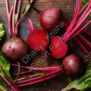 Fresh Red Beetroot