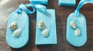 Ocean Breeze Wax Sachet