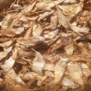 Dry Golden Anchovies Fish