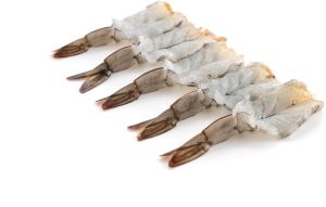 Dry Tiny Shrimps