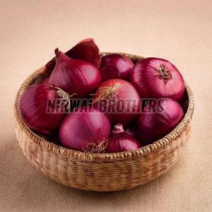 B Grade Red Onion