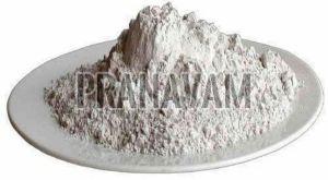 RCC Grade Fly Ash Powder