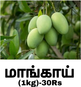 Fresh Green Mango