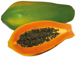 Fresh Papaya