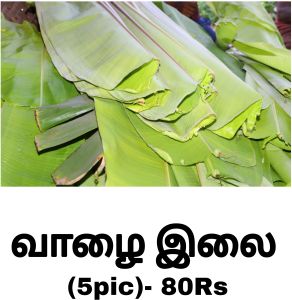 Green Banana Leaf