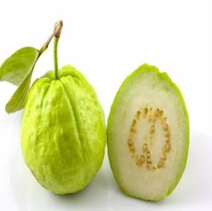 Guava