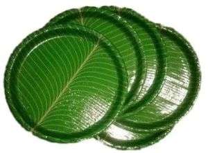 Green Round Banana Leaf Buffet Plate