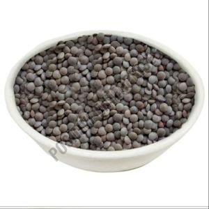 Black Whole Masoor Dal