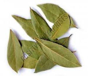 Dried Bay Leaves