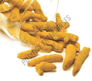 Dried Turmeric Finger