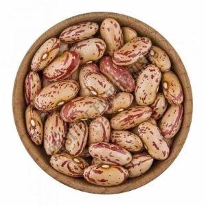 Organic Chitra Rajma