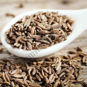 Organic Cumin Seed