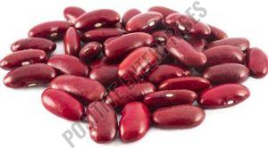 Organic Red Rajma