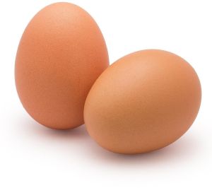 Fresh Brown Egg