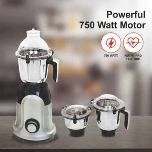 750 Watt Geco Mixer Grinder