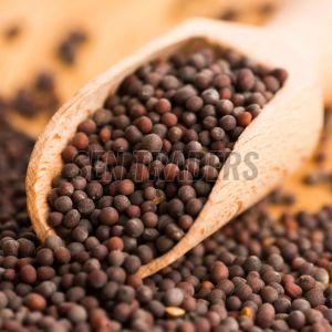 Black Mustard Seeds