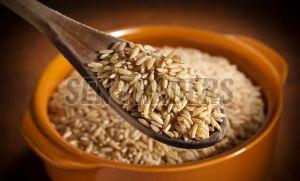 Brown Rice