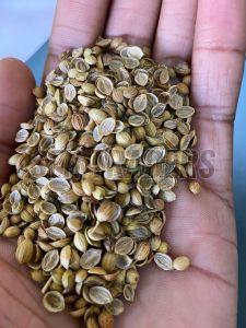 Dried Brown Split Coriander Seeds