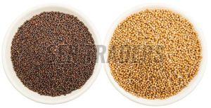Natural Mustard Seeds