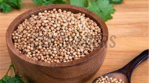 Whole Coriander Seeds