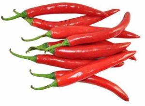 Fresh Red Chilli