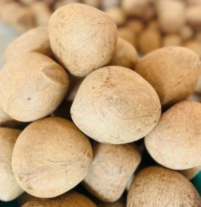 Dry Premium Quality Coconut Copra