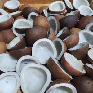 Half Cut Dry Copra Coconut