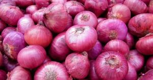 Fresh Onion