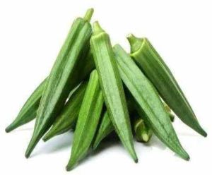 A Grade Fresh Okra Lady Finger