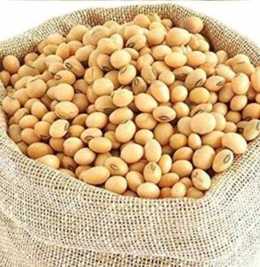 A Grade Soybean Seed