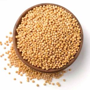 A Grade Yellow Mustard Seed
