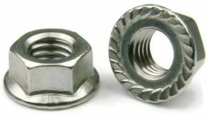 Galvanized Iron Flanges Nut