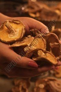 Premium Sun Dried Shiitake Mushroom