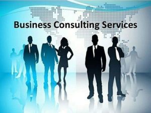 Business Consulting Services