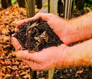 Leaf Compost Fertilizer