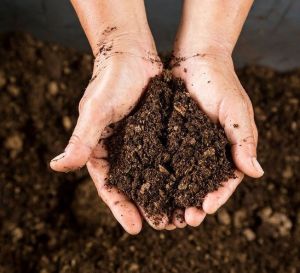 Potting Soil Mix